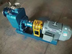 不鏽鋼(gang)自吸泵