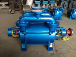 SK水環(huan)真空(kong)泵