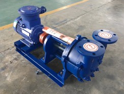 水環(huan)真空(kong)泵