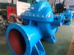 雙(shuang)吸中開(kai)泵